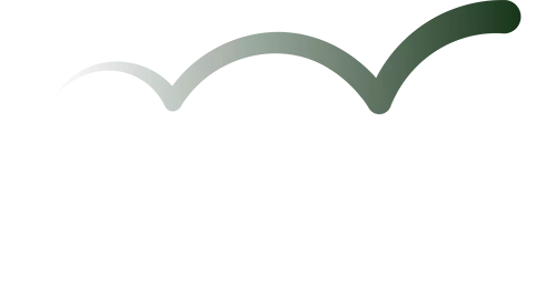 Kinetic Strategies Group_Full Logo